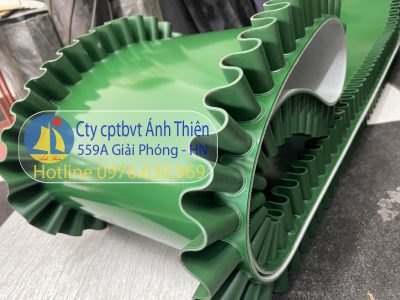 Băng tải PVC xanh trơn dán tai bèo dày 5mm bản rộng 650 x chu vi 2660mm